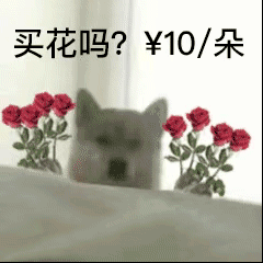 超火的狗勾玩飞刀表情包合集