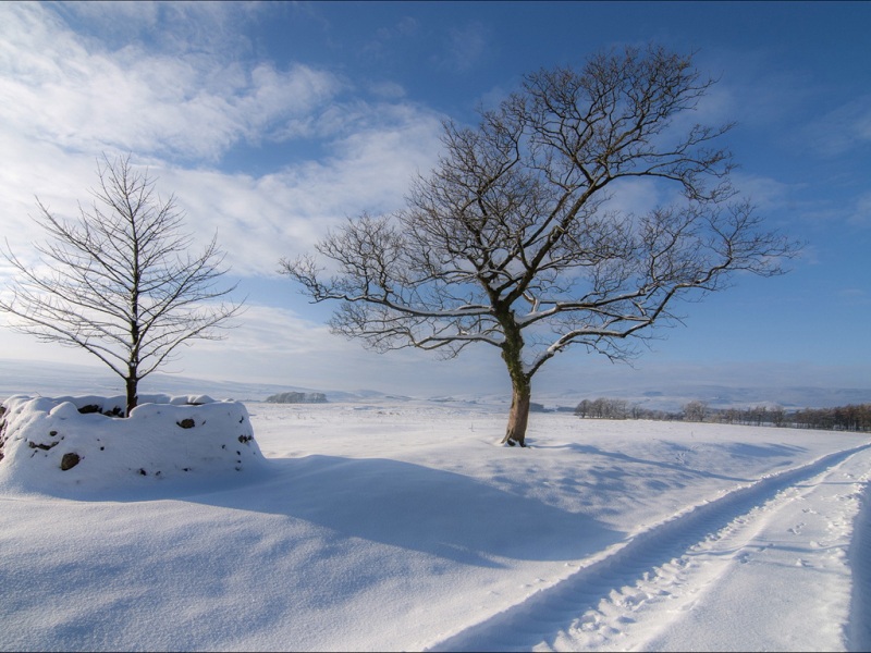 冬日雪地公路风景电脑壁纸