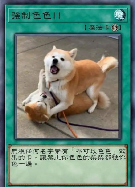狗狗主题卡牌表情包合集