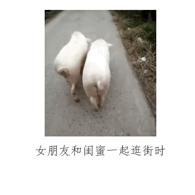 这套表情包也太真实了！说的不就是你女朋友吗