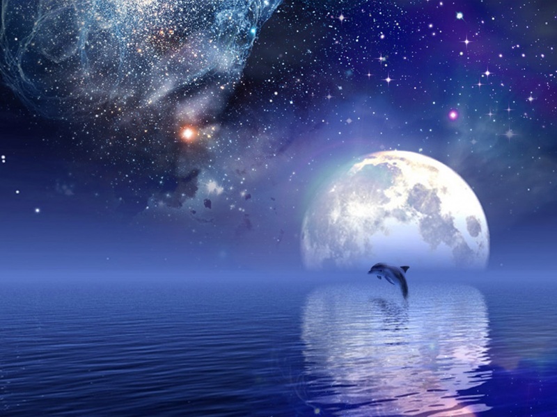 海豚星空主题电脑桌面壁纸合集