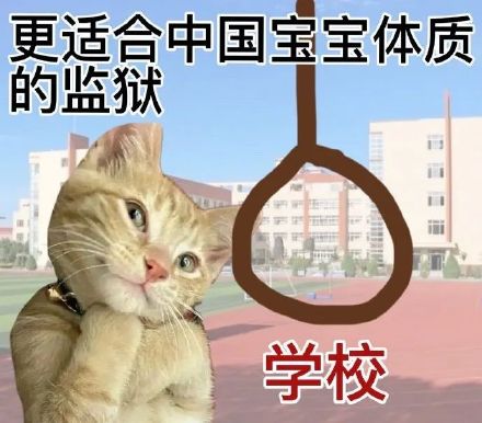 专为中国网友定制的“适配中国宝宝体质”表情包合集