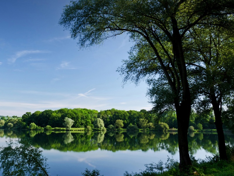 夏日树木河湖风景电脑桌面壁纸