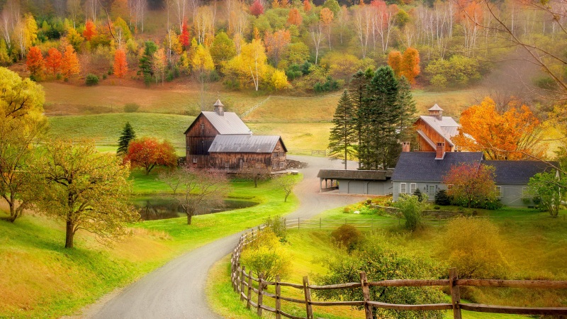 秋日森林小路木屋风景电脑壁纸