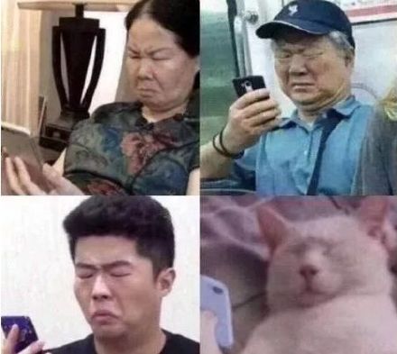 聊天凑数救星！这套捧哏表情包真的好用到爆