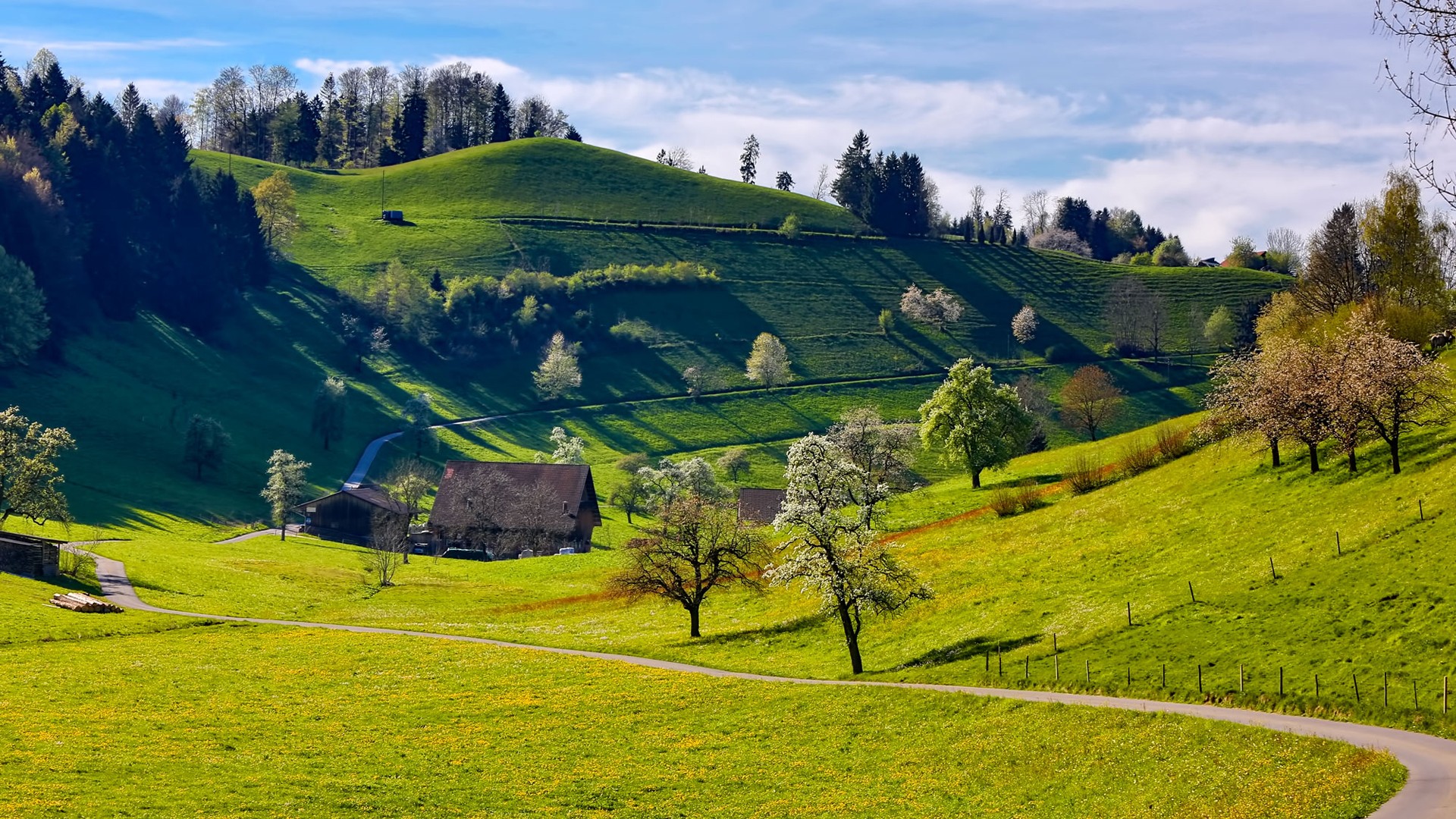 春日丘陵乡野风景电脑壁纸