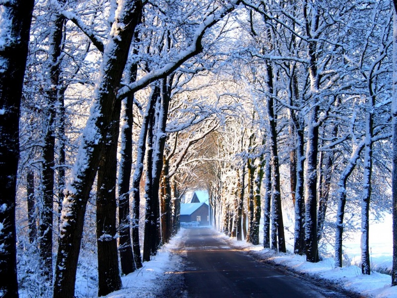 胡同冬景雪色！这套电脑动漫壁纸氛围感拉满