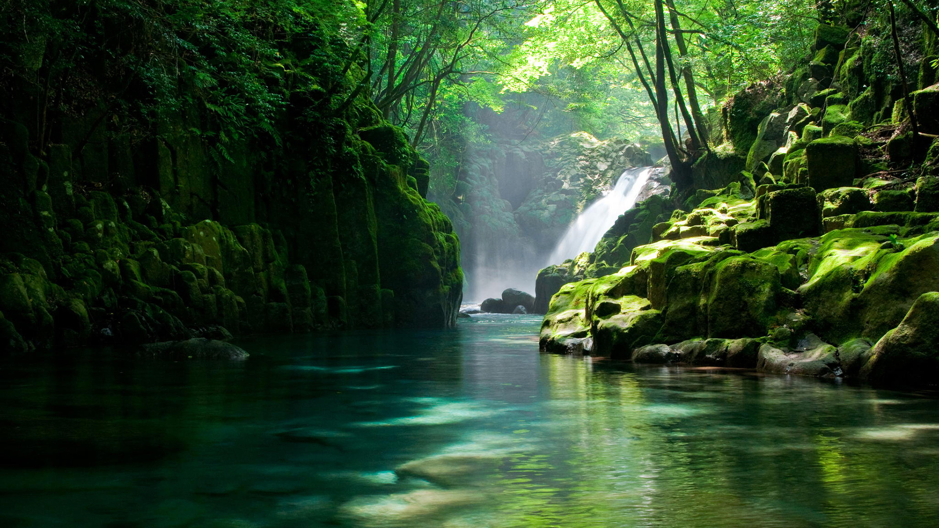 山涧密林小溪碧水！这款护眼清新风景壁纸太治愈了