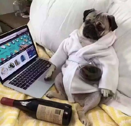 群聊斗图专用！精选实用表情包合集来了