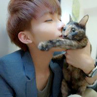 42张抱猫情侣头像来啦！一男一女超有爱超好看