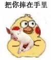 超萌小黄鸡抱猪猪表情包合集来啦