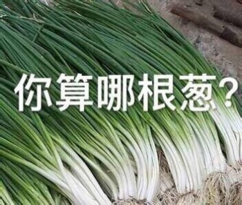 怼人神器！这套“你算个啥”表情包太绝了