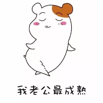 聊天斗图新素材：我老公好像丢了系列表情包