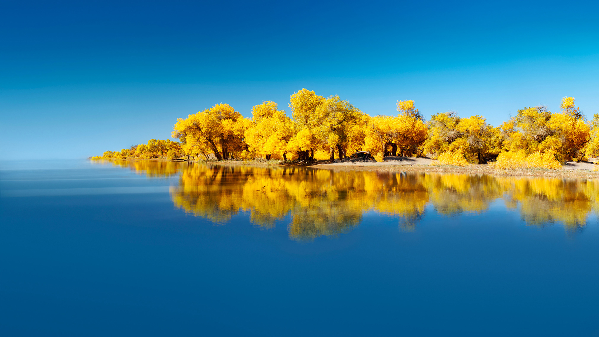 华为Mate40适配秋日风景壁纸合集