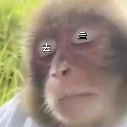 全网最全吗喽和水豚斗图表情包合集