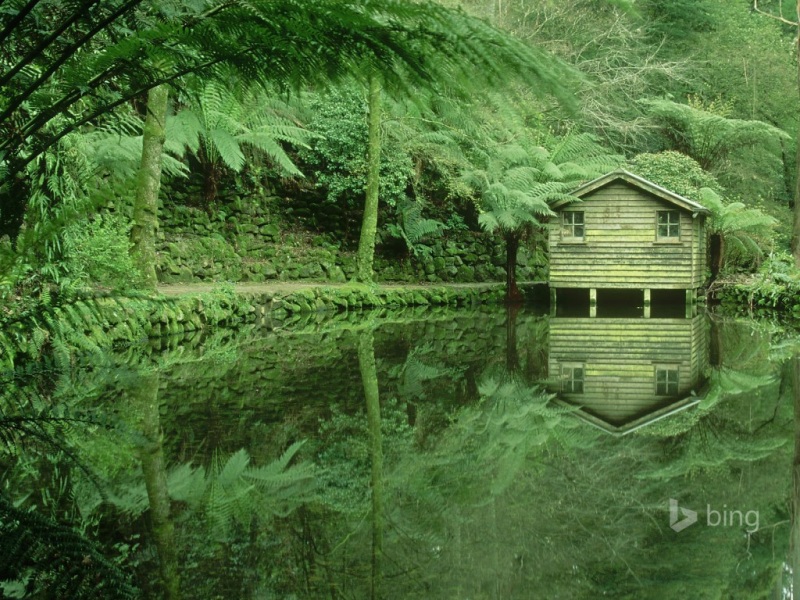 澳大利亚丹德农森林小房子自然风景壁纸