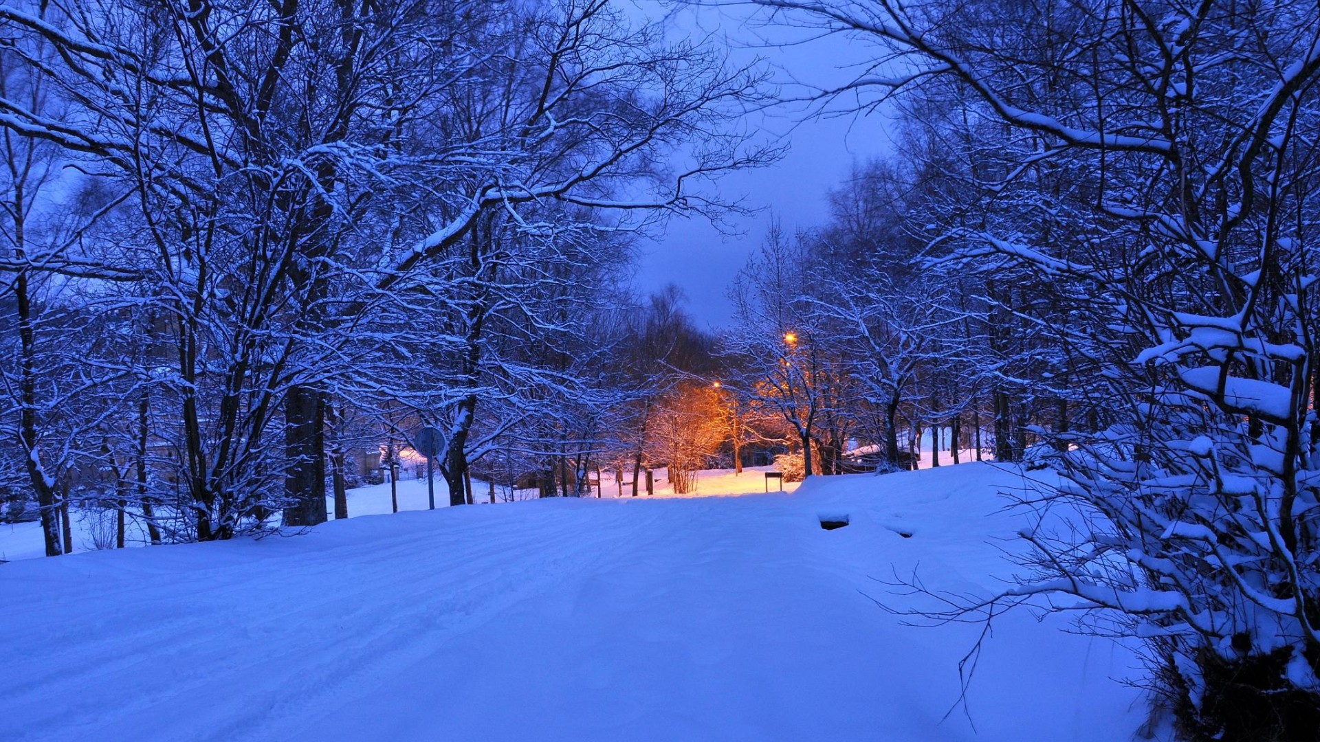 冬日夜晚公路灯光 氛围感风景壁纸合集
