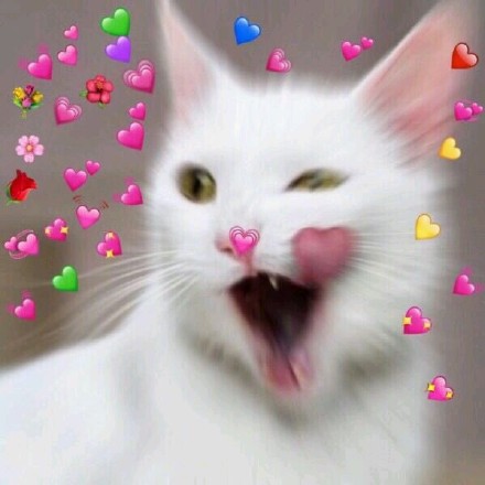 满屏小心心太甜啦！我的眼里都是你的表情包合集