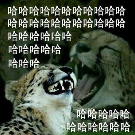 当朋友撞见你出丑时，这套大笑表情包太应景了