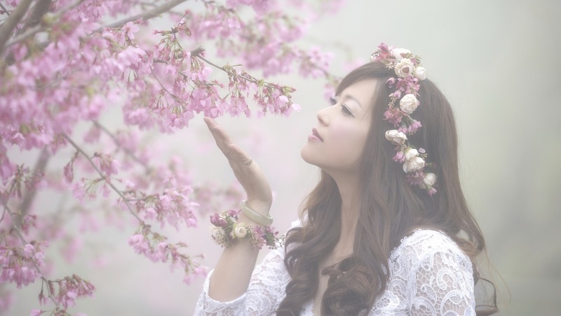 超治愈！唯美樱花美女电脑高清壁纸合集