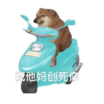 骑车狂飙的沙雕摩的狗表情包火了