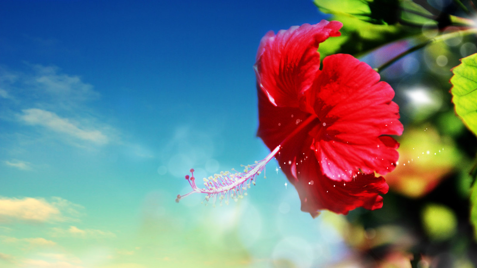 生如夏花主题电脑桌面动漫壁纸分享