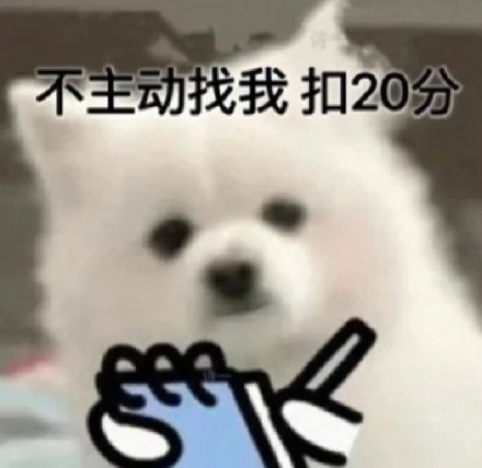 拿捏情侣日常的扣分小狗表情包火了