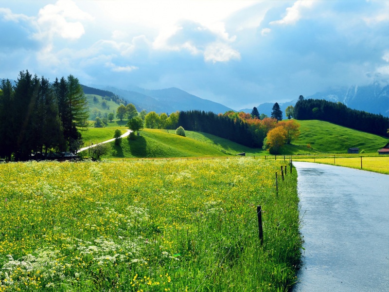 包含公路小房子花海的治愈系风景壁纸合集