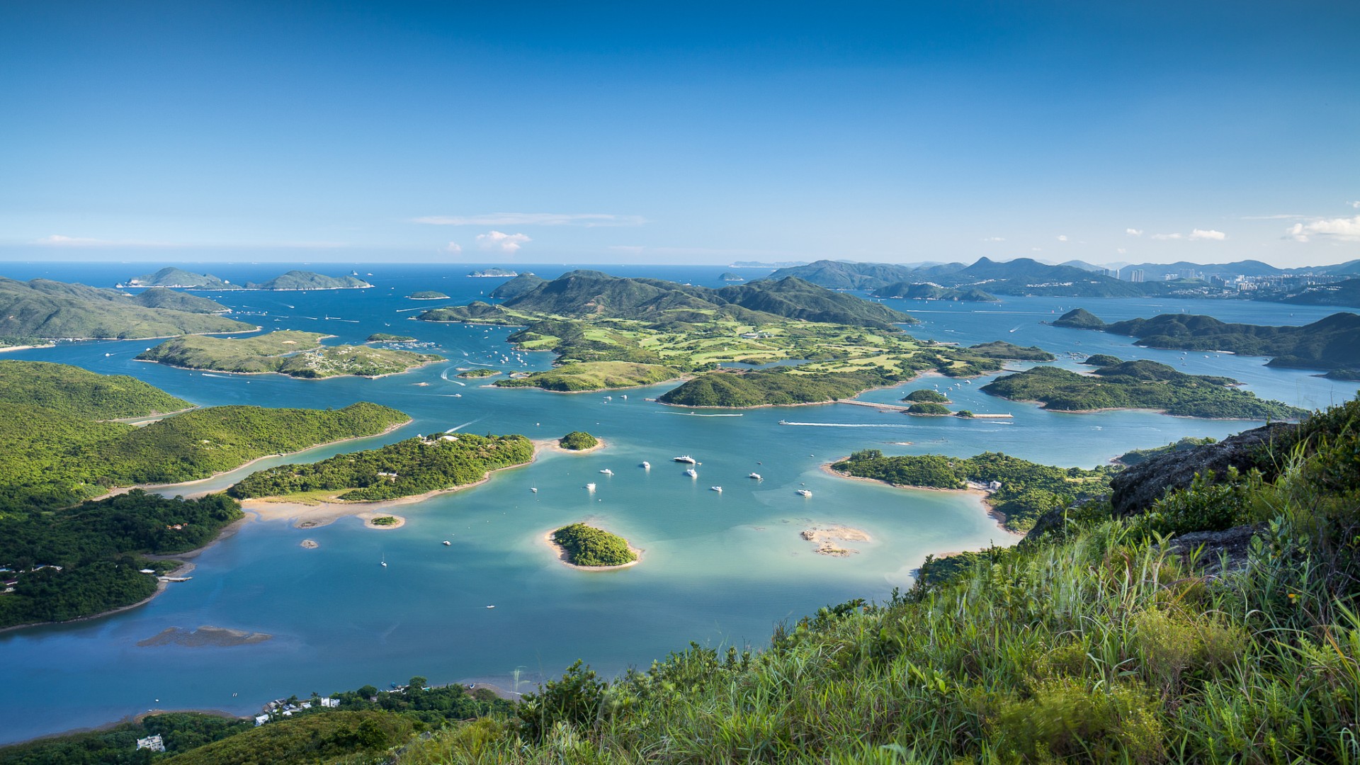 带大海草树山的绝美岛屿风景电脑动漫壁纸