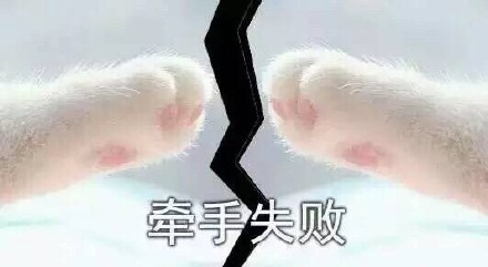 超萌喵星人牵手表情包来啦！这组“牵宝宝的手”也太治愈了