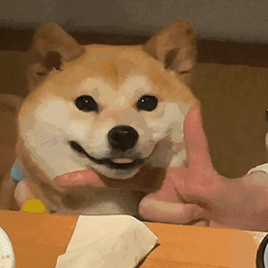 聊天斗图不用愁！这套实用动图表情包直接存