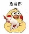 超萌小黄鸡抱猪猪表情包合集来啦