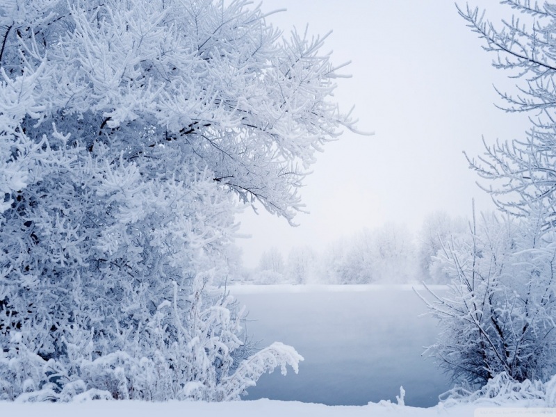 冬日雾凇雪景树景 电脑动漫桌面壁纸推荐