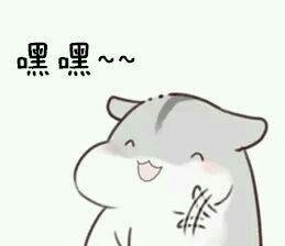 仓鼠撒娇表情包来啦！软萌仓鼠超会撩