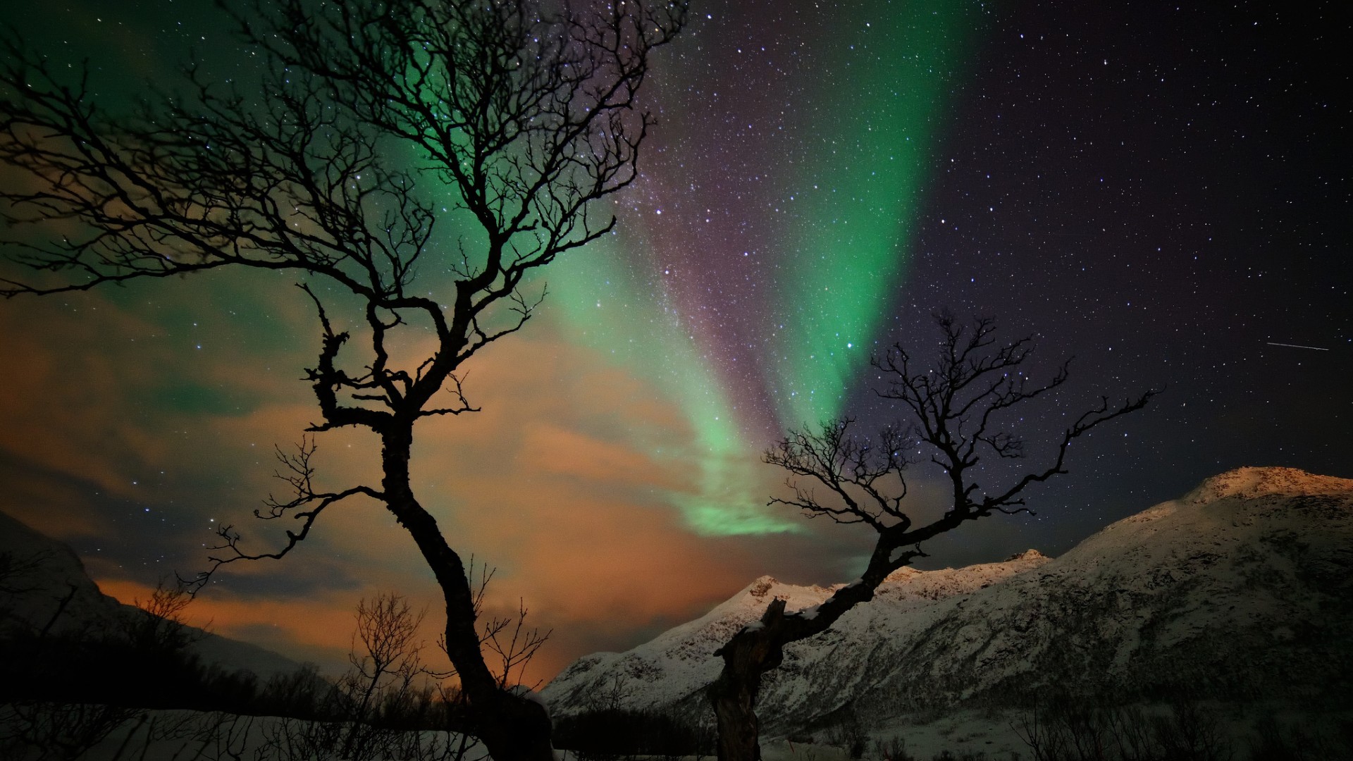 冬日夜晚雪山星野 这套电脑壁纸氛围感拉满