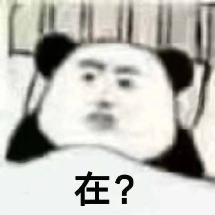 熊猫头万能聊天表情包 斗图党必备