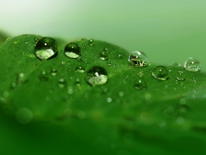 水滴涟漪电脑桌面动漫壁纸分享