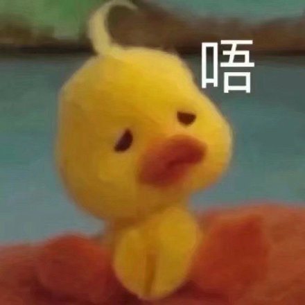 咋肥四鸭小黄鸭表情包来啦，斗图又有新素材啦