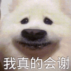 聊天斗图不用愁！这套实用动图表情包直接存