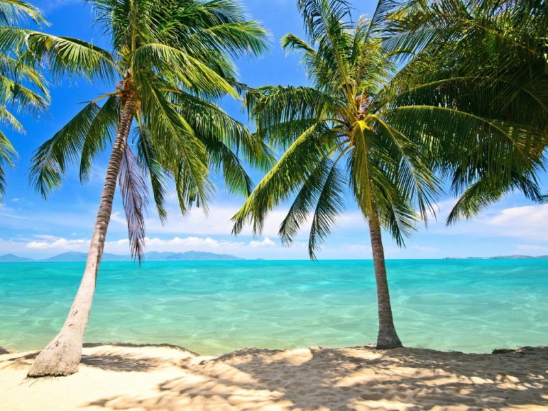 夏日海边治愈风景电脑壁纸合集