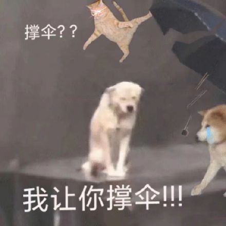 当下爆火的修勾撑伞表情包合集
