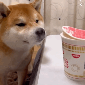 聊天斗图不用愁！这套实用动图表情包直接存