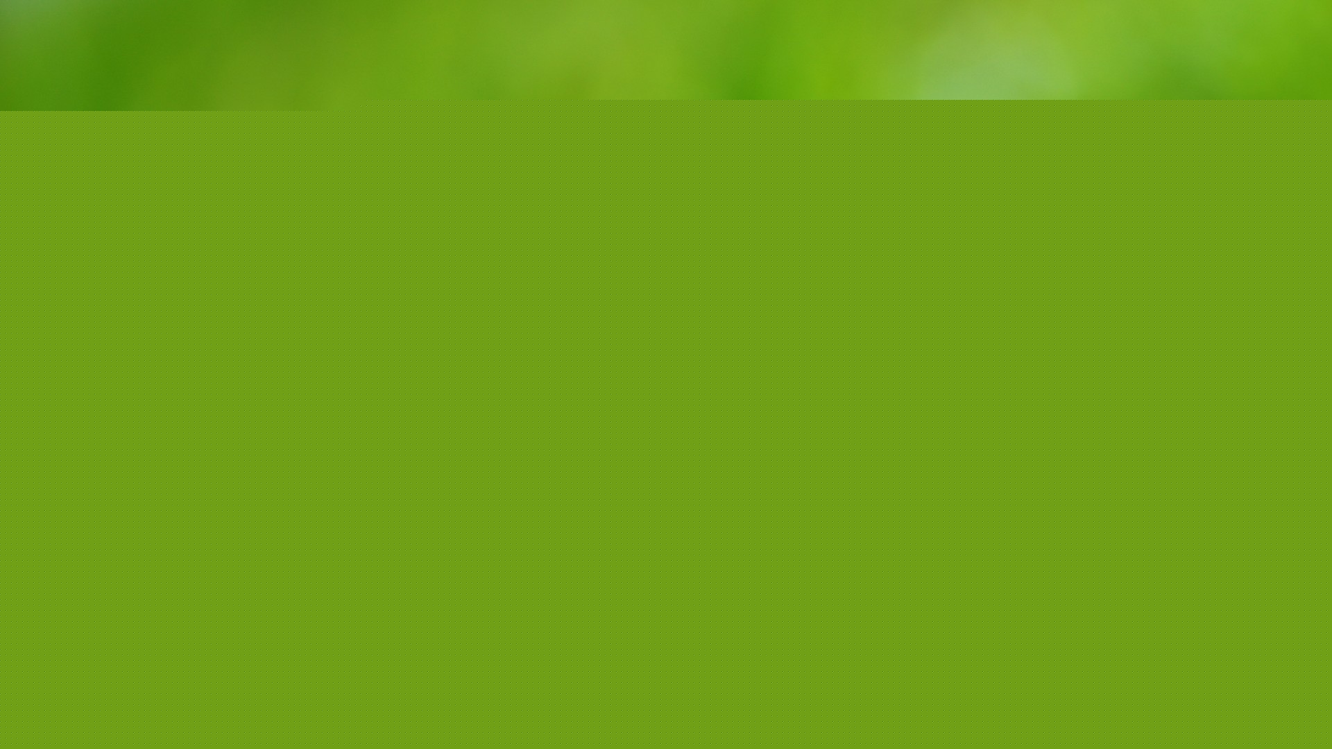 蜻蜓绿植花卉高清电脑壁纸！多款分辨率可选的动漫风桌面背景