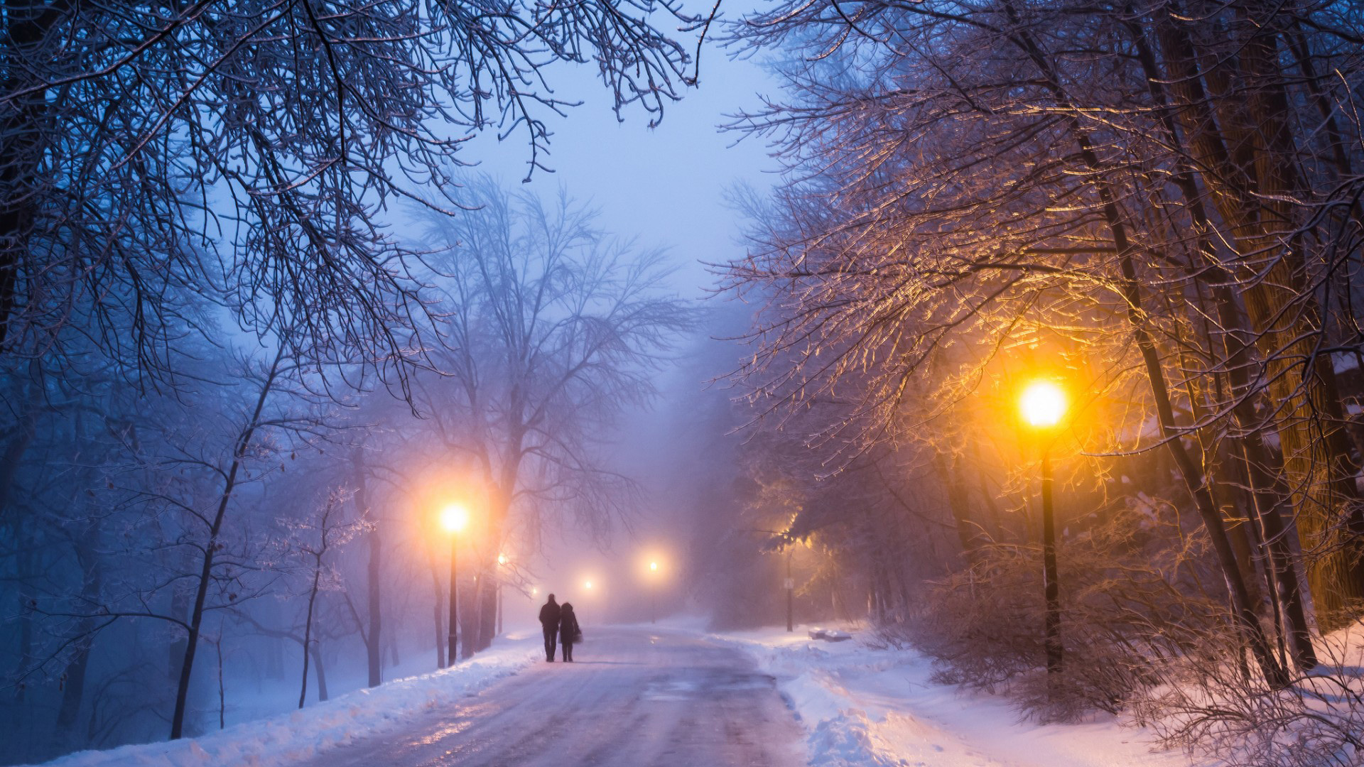 冬日夜晚林间情侣路灯雪景壁纸