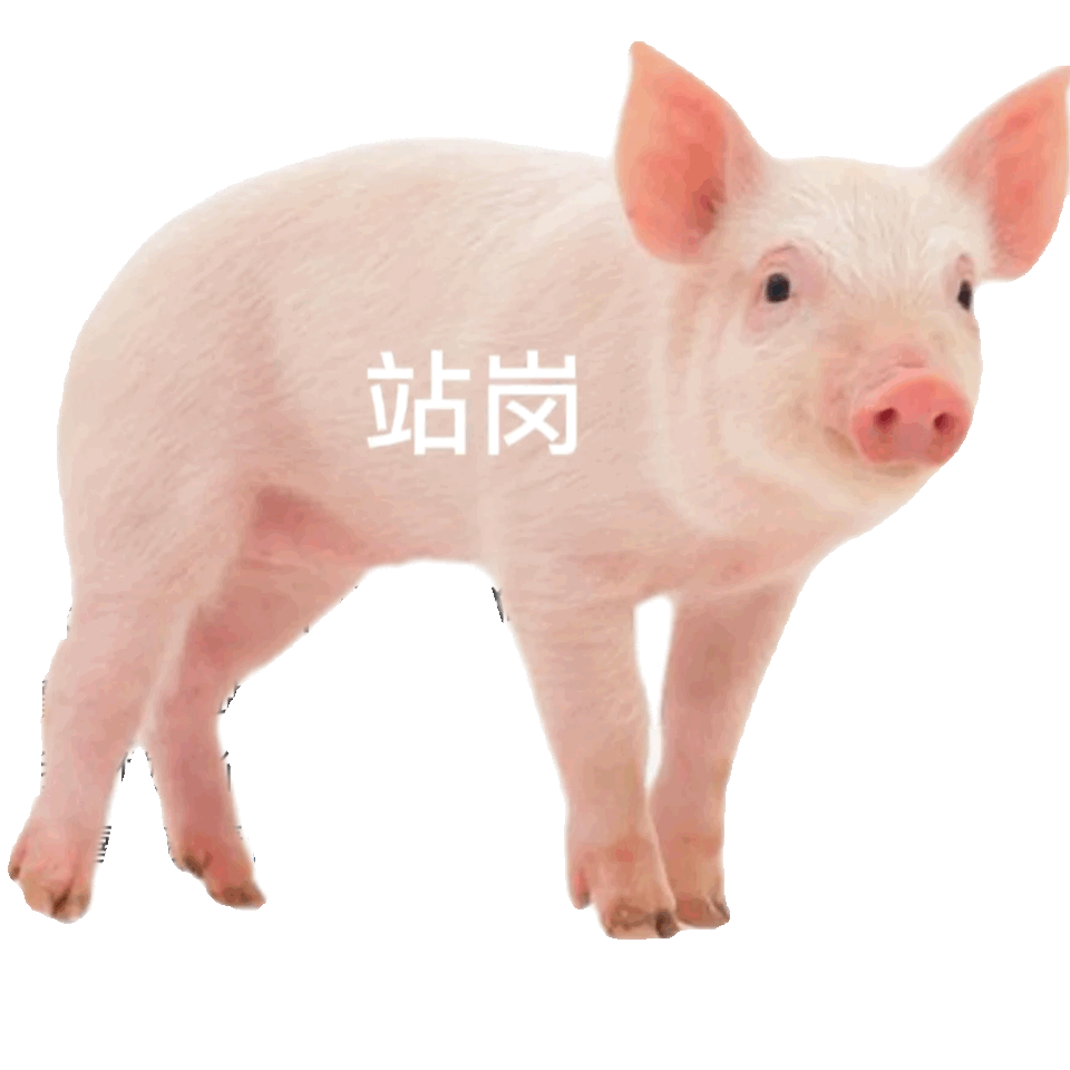 聊天斗图必备！站岗小狗表情包合集整理好了