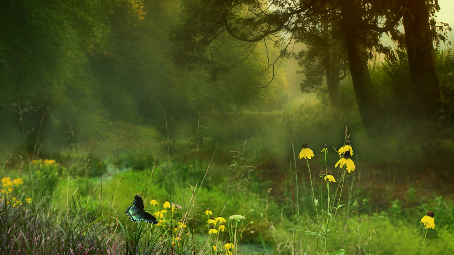 夏日森林绿意壁纸合集：花草蝴蝶治愈自然风景
