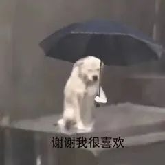 当下爆火的修勾撑伞表情包合集