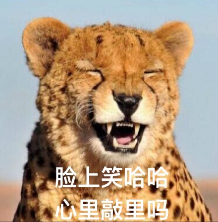 敲里吗！敲里lai lai 斗图表情包合集