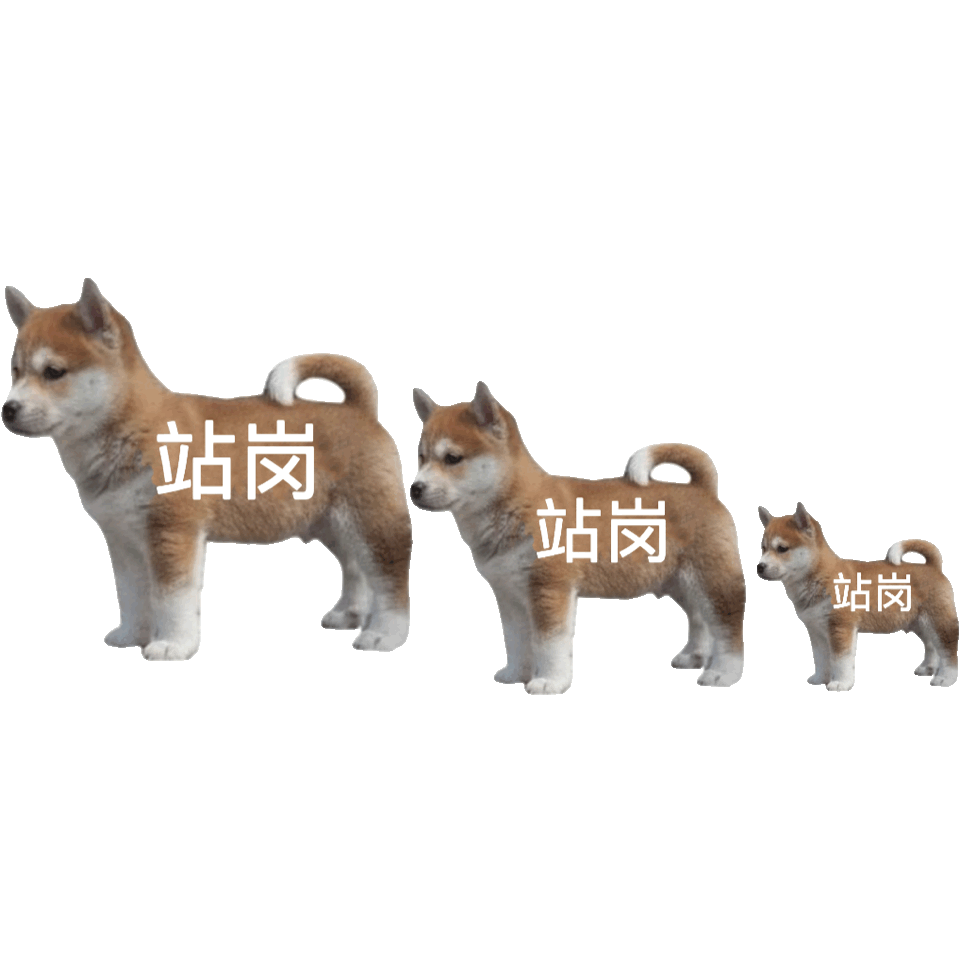 聊天必备！站岗小狗表情包合集来啦