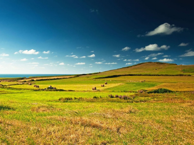 田园草堆风景电脑动漫壁纸推荐